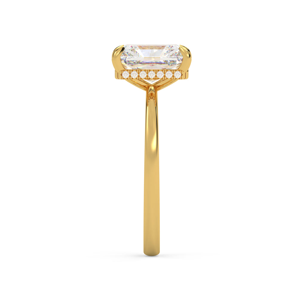 The lyxora ~Gold