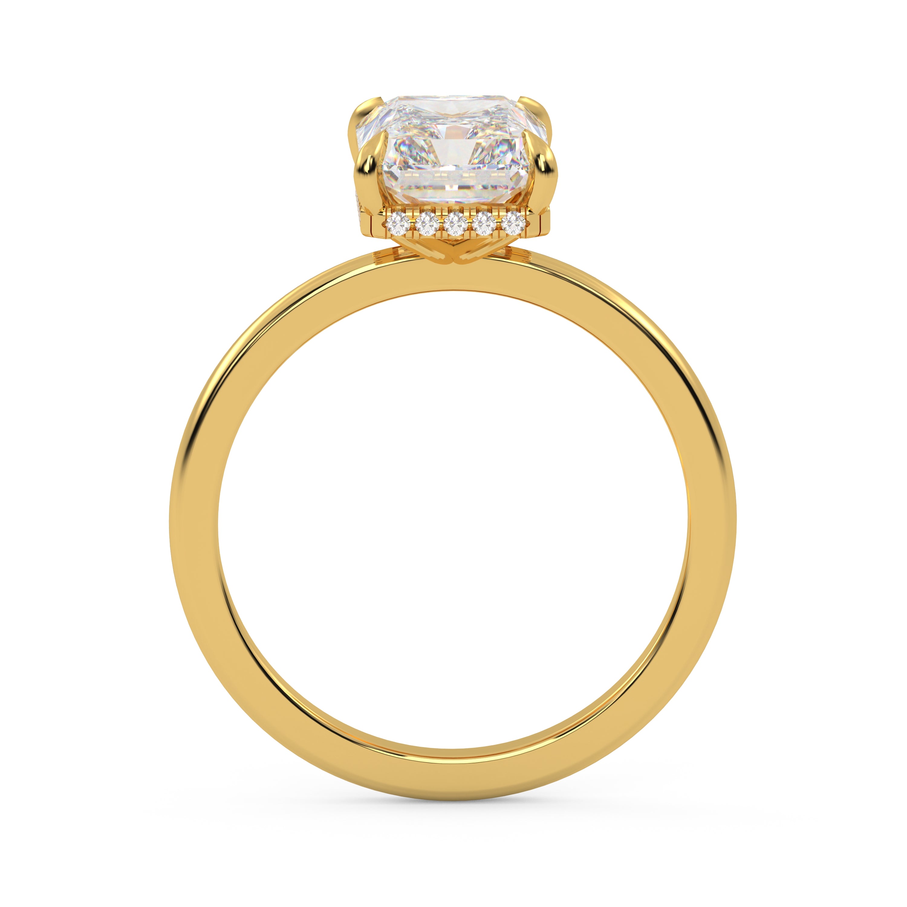 The lyxora ~Gold