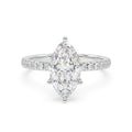 The Lumera ~ Silver