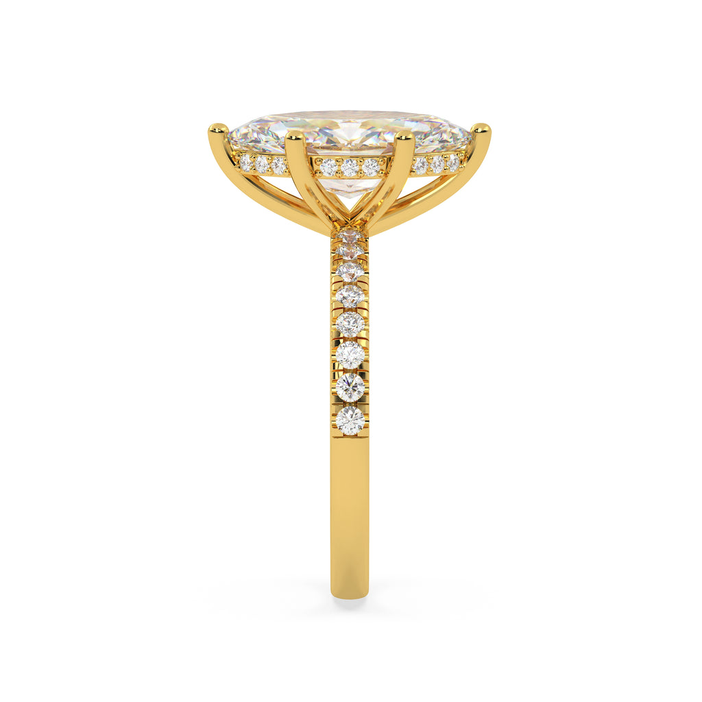 The Lumera~ Gold