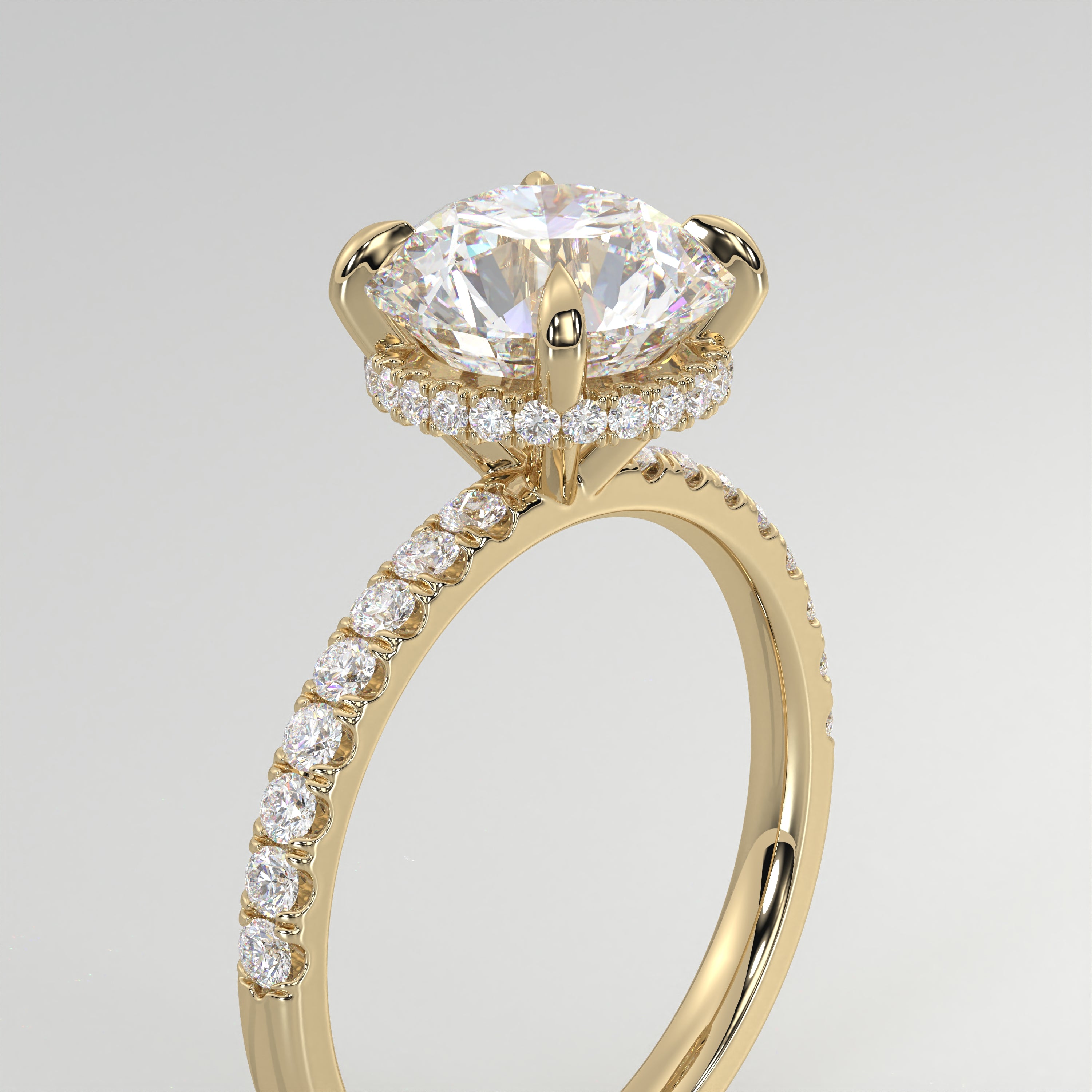 The Elynora~ Gold