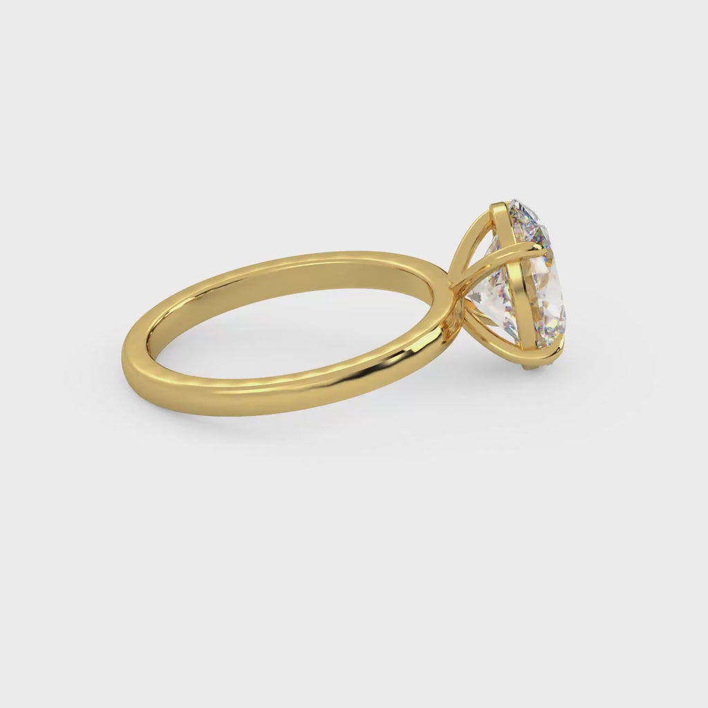 The Zarelys~ Gold